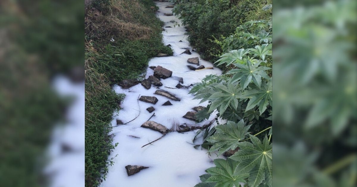 Foto do rio com espuma misteriosa em Morro da Fumaça