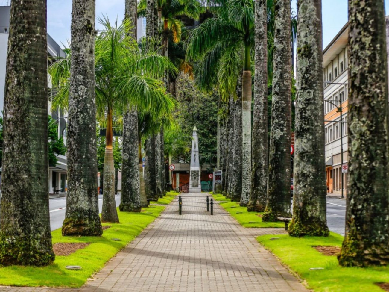 Eventos culturais bloqueiam trânsito em Blumenau neste fim de semana