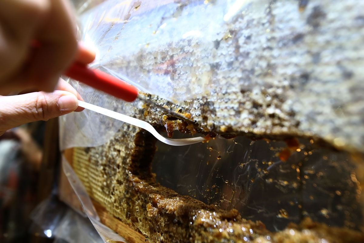 Feira do Mel terá degustação de produtos catarinenses