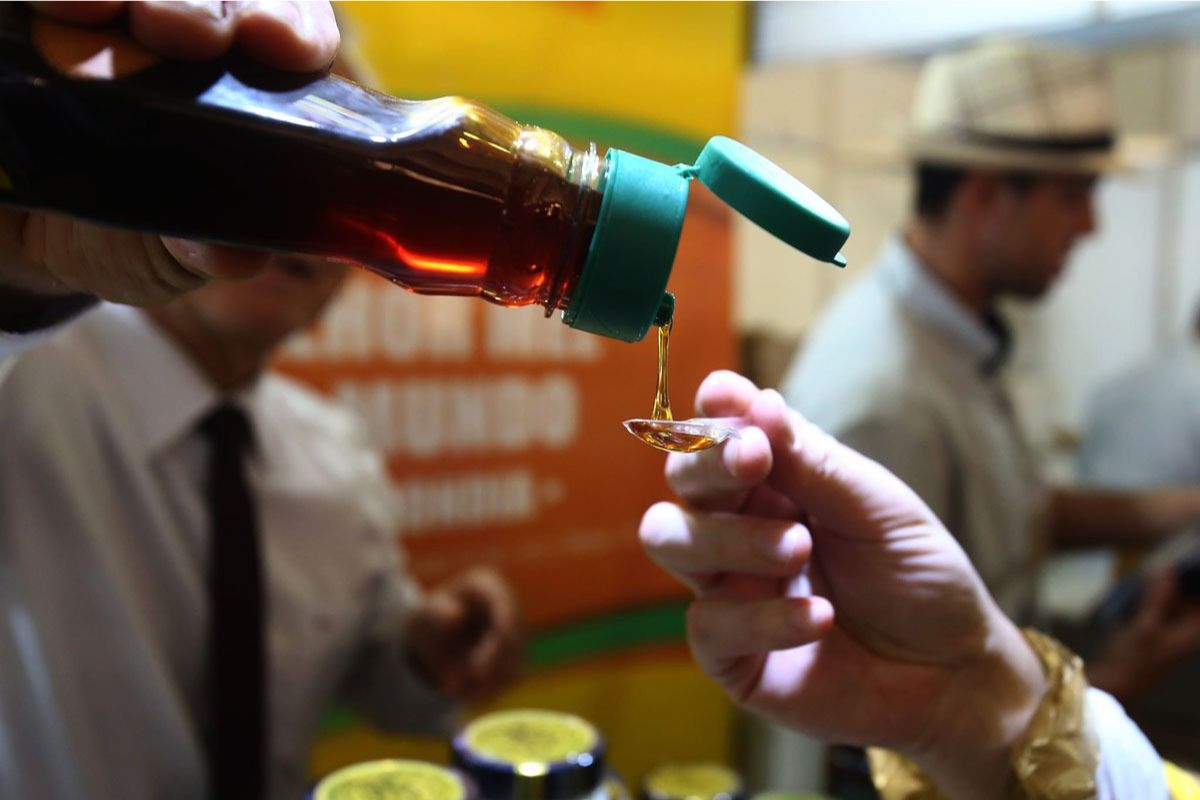 Feira do Mel começa nesta quarta-feira no Largo da Alfândega, em Florianópolis