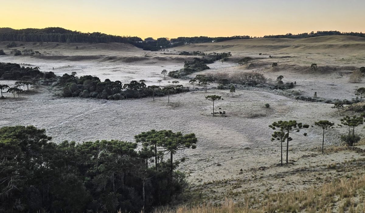 Geada no Vale do Caminhos da Neve, em São Joaquim