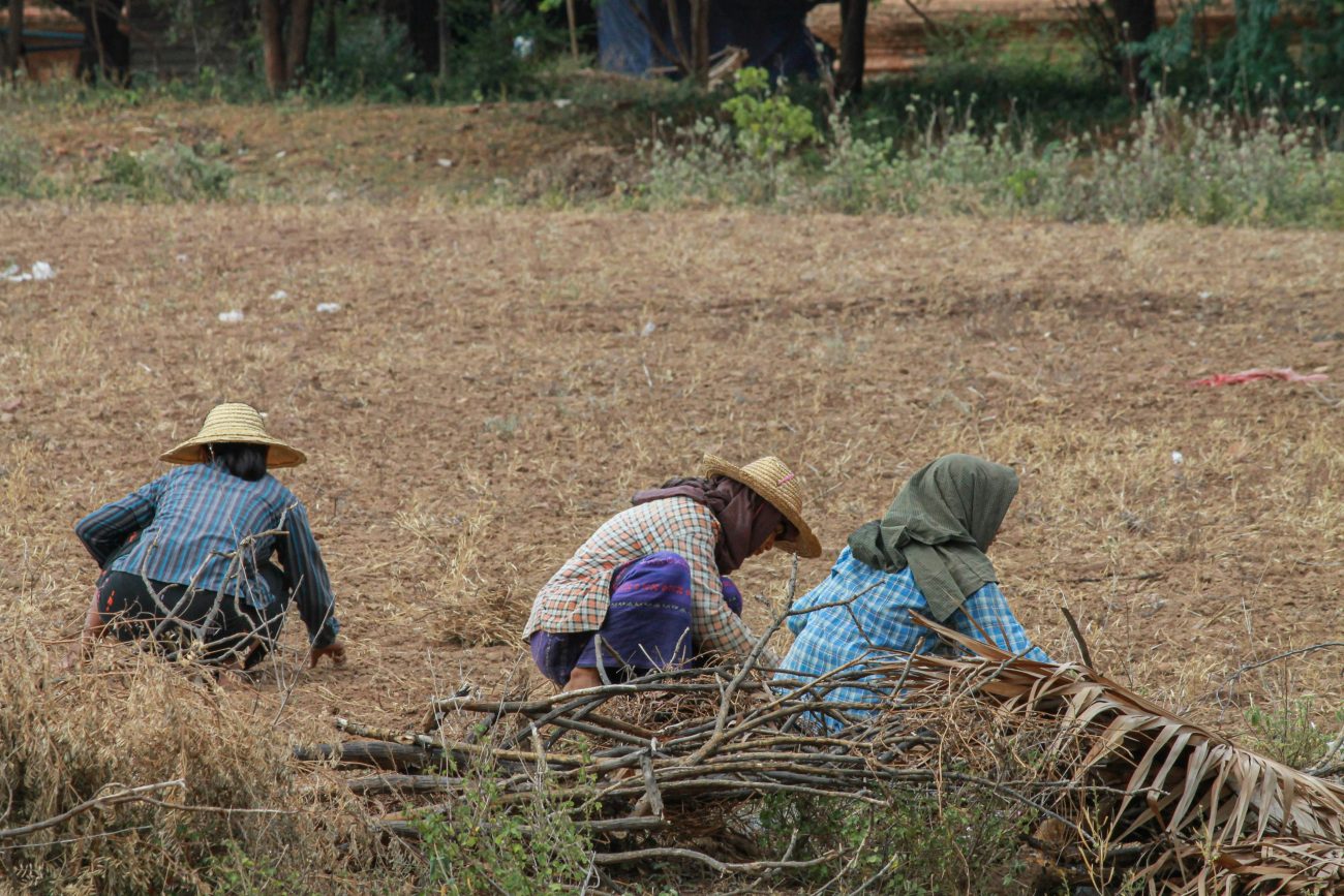 Quando o agro sofre, o comércio, o transporte e até a educação sofrem juntos - Freepik/ND