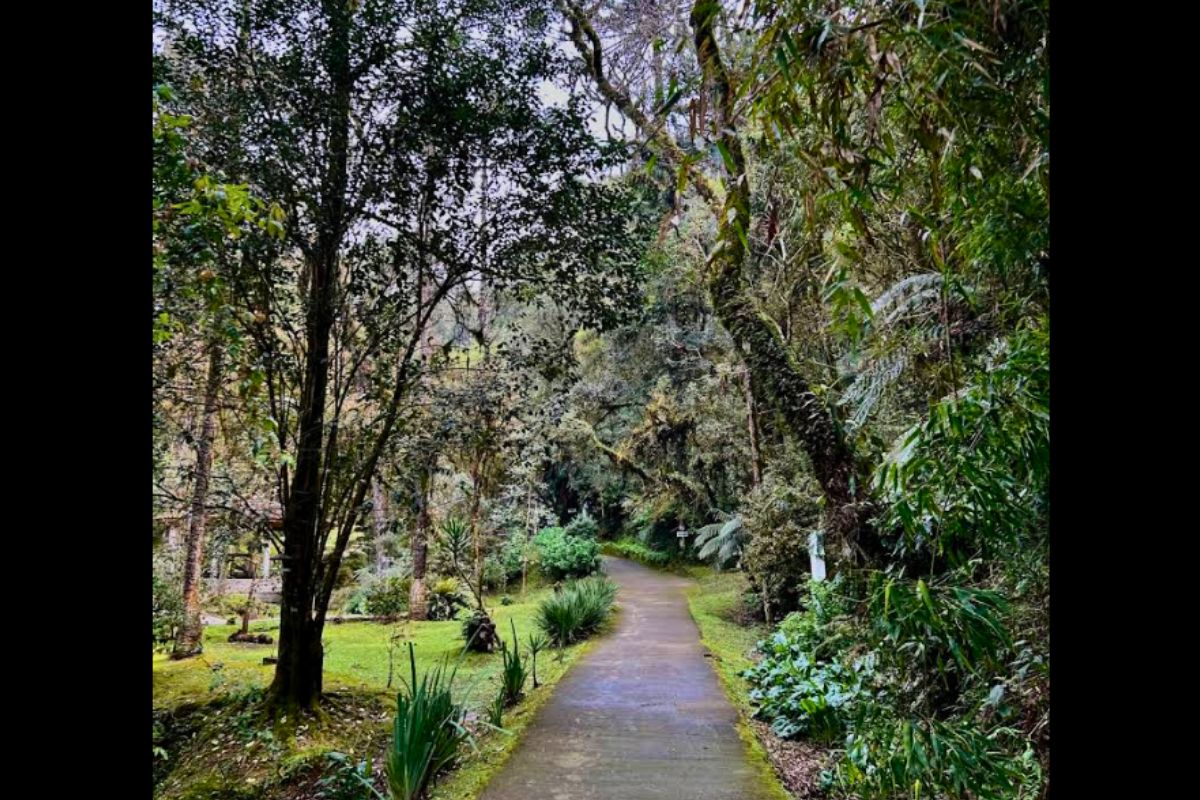 Caminho a pé que leva até a Gruta Nossa Senhora de Lourdes - Carolina Ce Paulino/Google