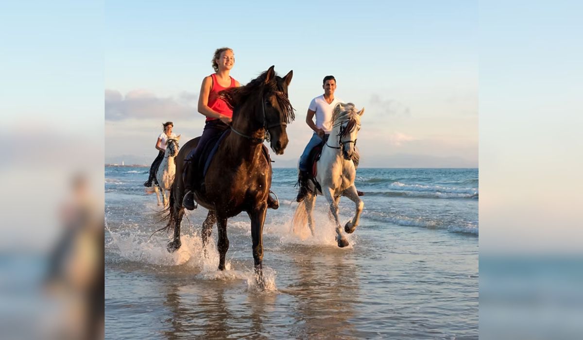 Hóspedes podem passear de cavalo na Praia do Moçambique - Divulgação/Hotel Boutique Quinta das Videiras