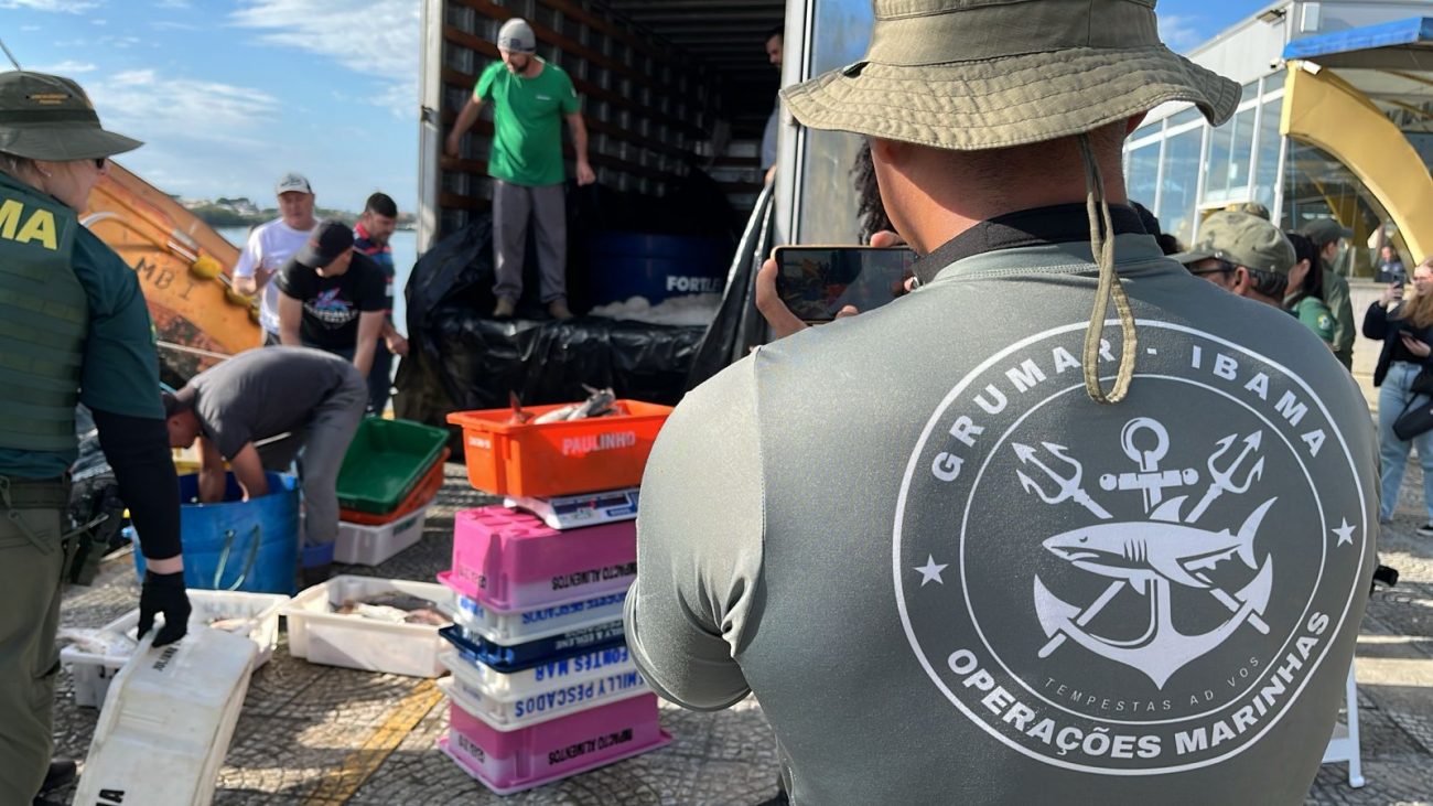 Foto mostra fiscal do Ibama de costas tirando foto do carregamento de tainha ilegal