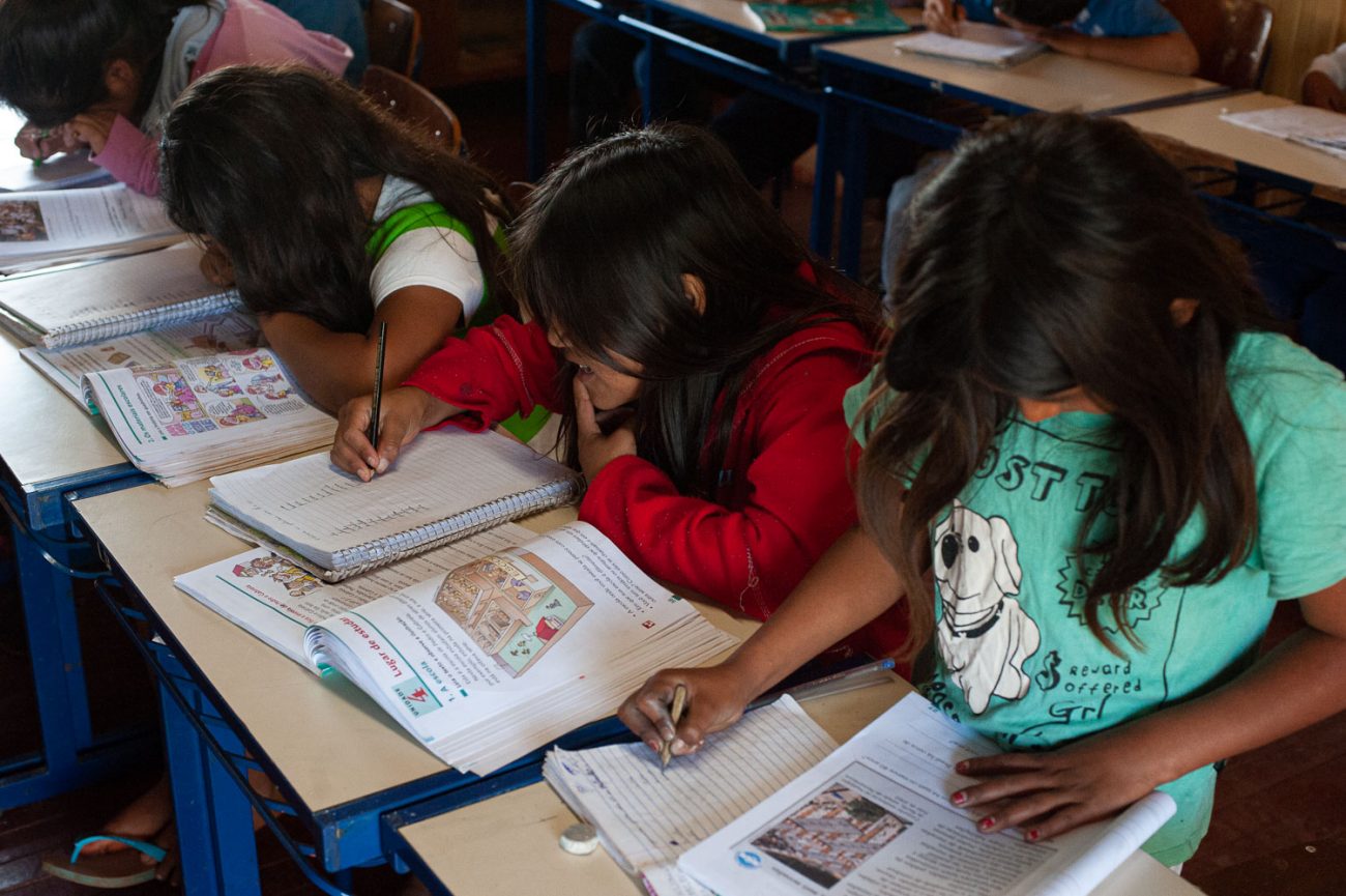 Ministério Público Federal recomenda à SED que apresente o cronograma para produção de materiais escolares em línguas indígenas até setembro - Foto: Flavio Dutra/UFRGS/Reprodução/ND
