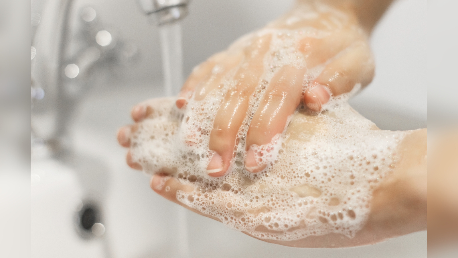 contioutra.com - V&iacute;rus Nipah: Saiba os riscos de contamina&ccedil;&atilde;o no Carnaval e se um surto pand&ecirc;mico pode ocorrer no Brasil