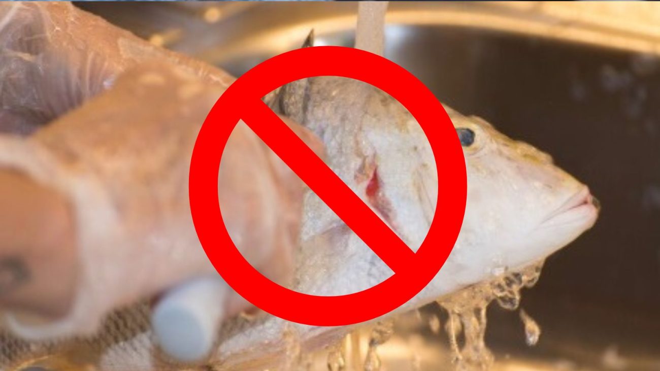 na foto aparece um procedimento não indicado pelo chefe de lavar o peixe em água corrente antes de cozinhá-lo