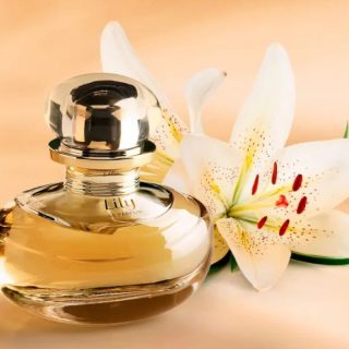 Lily Le Parfum da Boticário