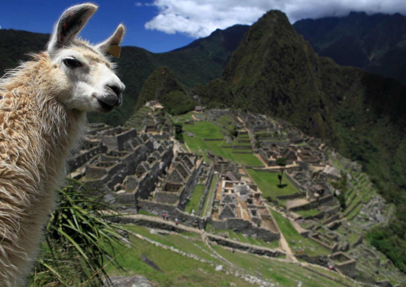 Machu Picchu foi declarada Patrimônio Mundial pela UNESCO em 1983, reconhecendo sua importância cultural e natural para a humanidade - Reprodução/ND