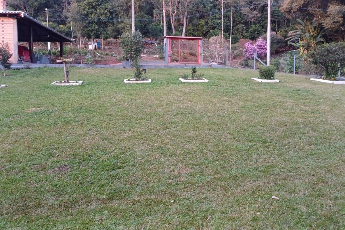 andioca de 21kg surpreende casal de agricultores no interior de Chapecó