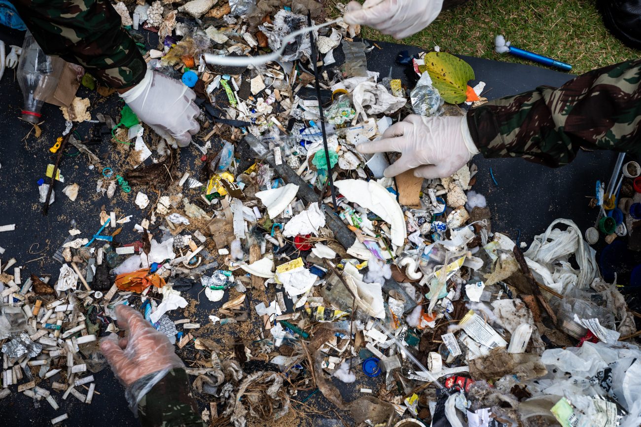 Mais de cinquenta quilos recolhidos em São José durante a Semana do Meio Ambiente