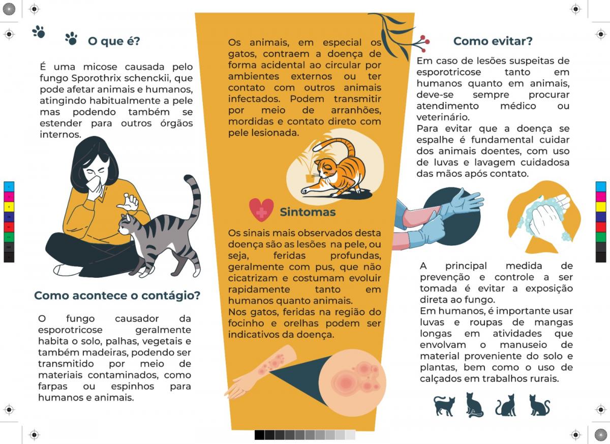 Informativo explica tudo sobre micose que atinge gatos e humanos – Foto: Divulga&ccedil;&atilde;o/Prefeitura de Santos/ND