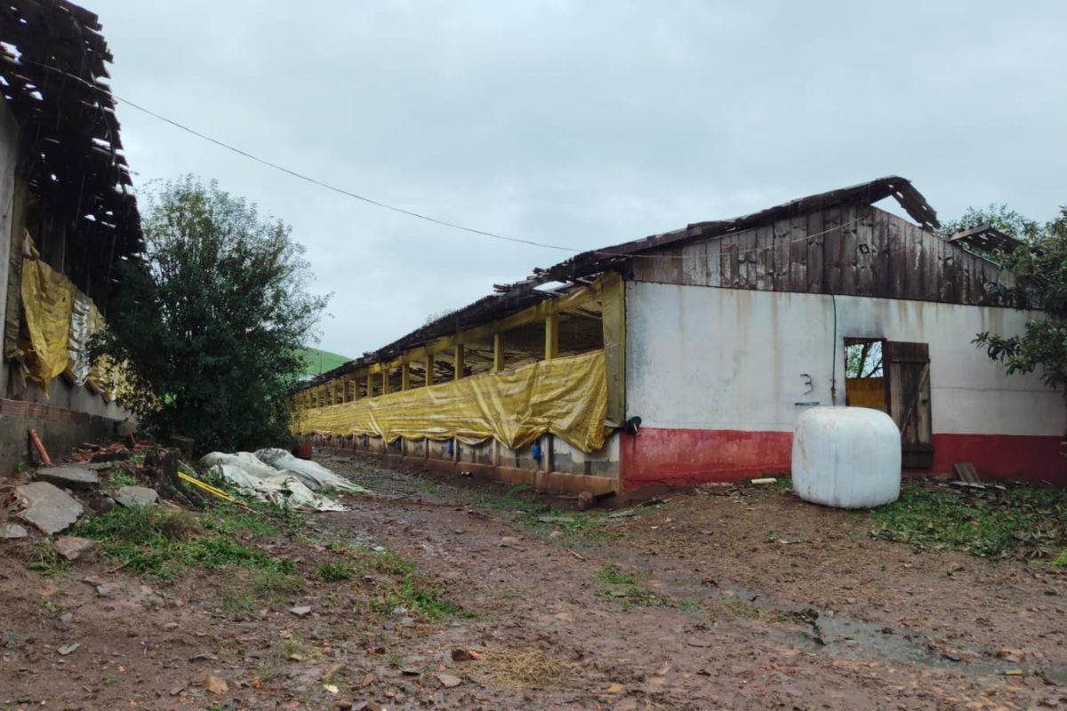Propriedade rural da família sofreu prejuízos com o granizo.  - Fabiano Trindade/RBV/ND