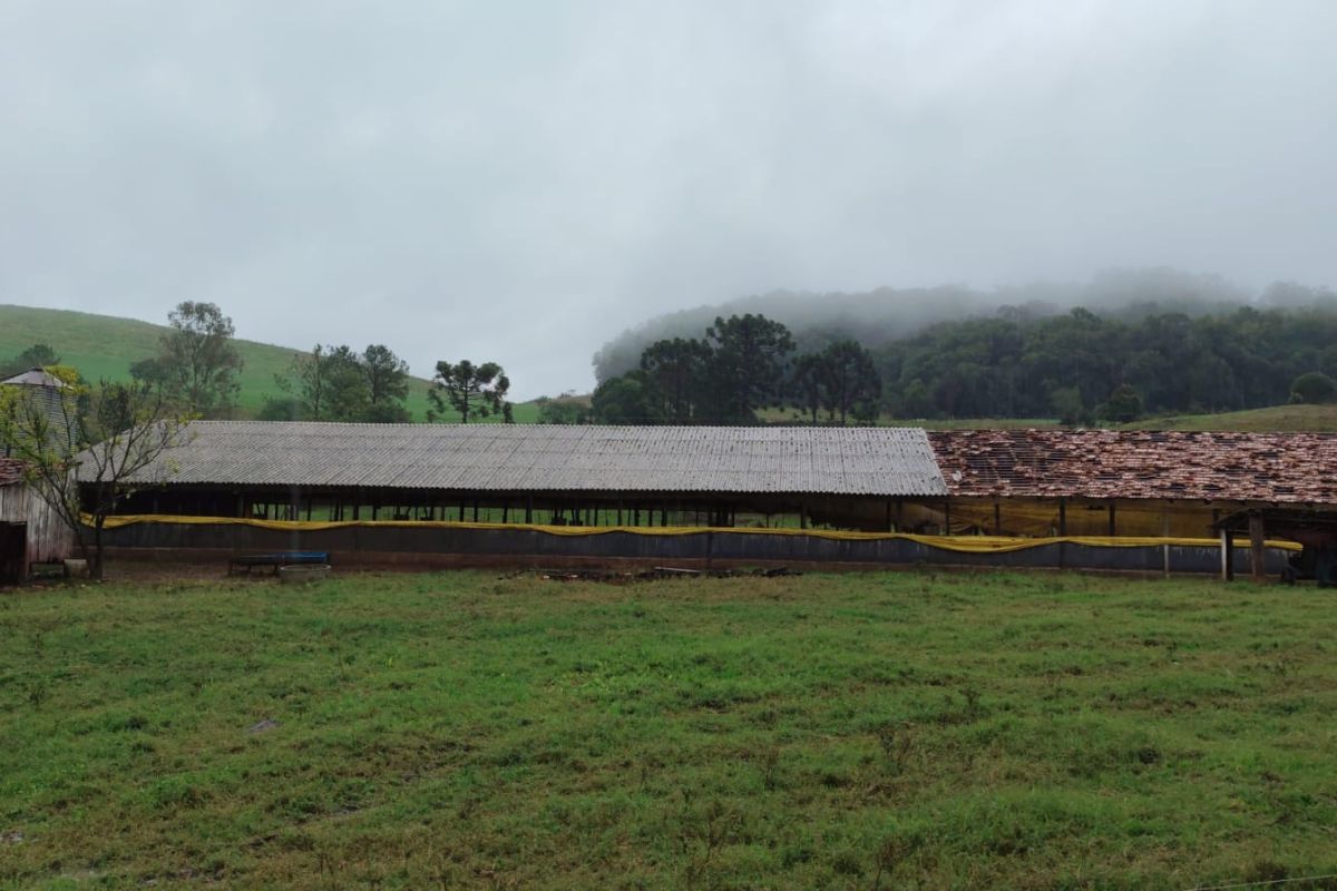 Prejuízos ainda estão sendo contabilizados após granizo atingir propriedade rural. - Fabiano Trindade/RBV/ND