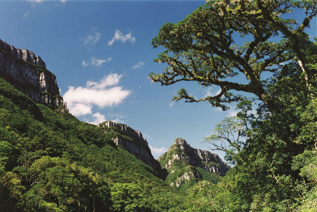 Cânion Fortaleza em Jacinto Machado fica dentro do Parque Nacional da Serra Geral - Ênio Frassetto