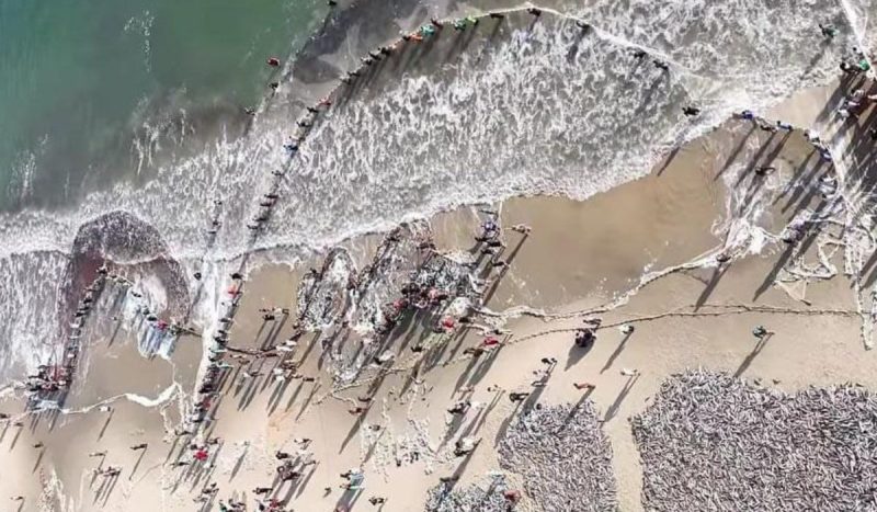 Lanço aconteceu na praia da Pinheira, em Palhoça, na segunda-feira (16) - Reprodução/Pinheira Beach Drones/@pinheirabeachdrones/ND
