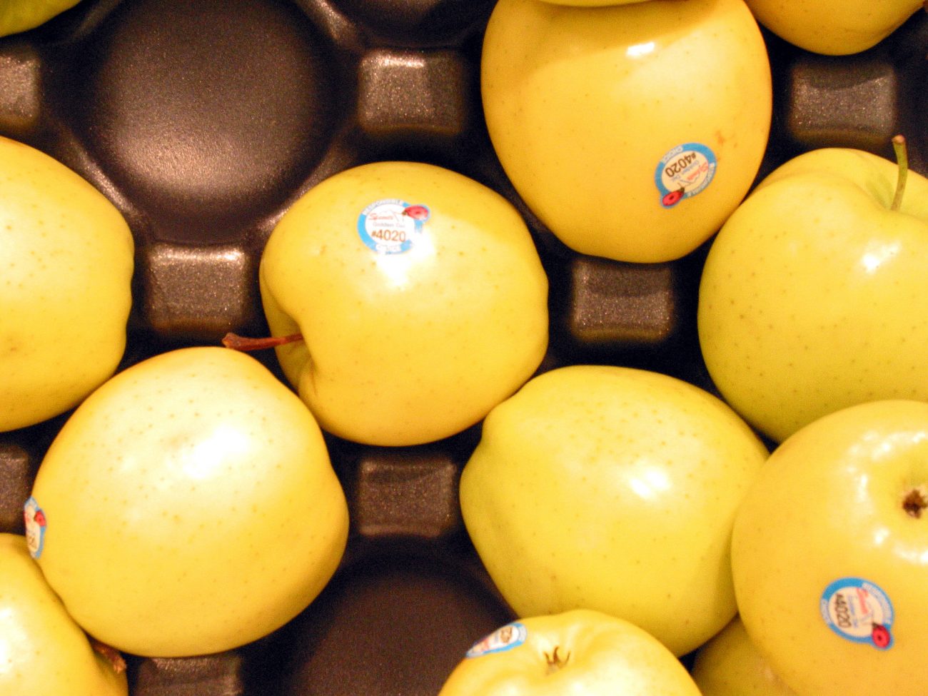 Etiquetas com números coladas nas maçãs verdes
