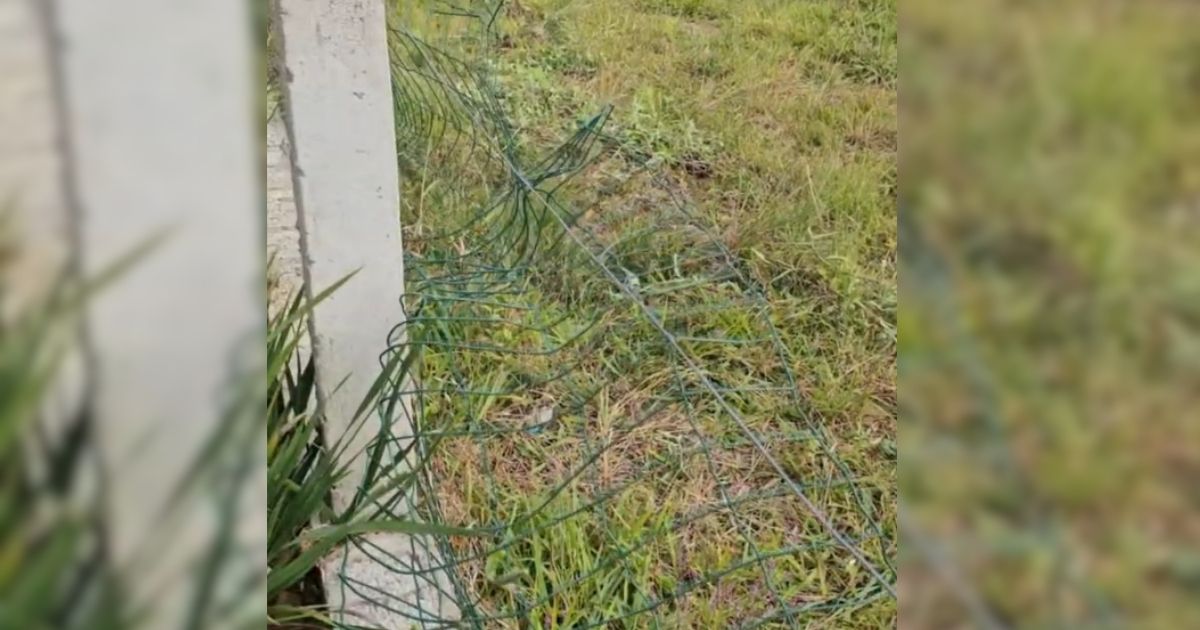 Prefeito, em um vídeo, denunciou atos de vandalismo em praça de Treviso - prefeito-repudia-vandalismo-em-praca-de-sc (1)