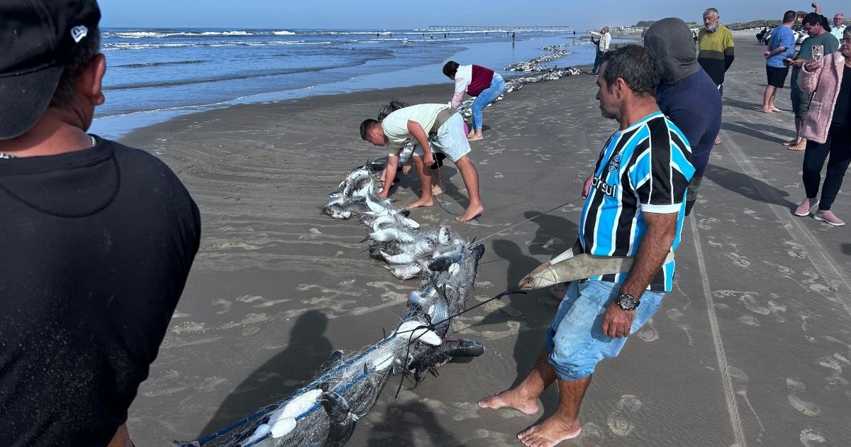 Imagens de pescadores no primeiro grande lanço de tainhas em Balneário Rincão
