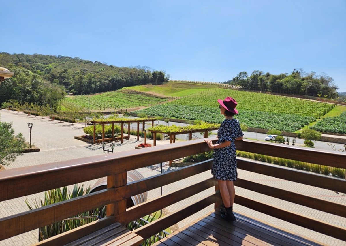 rota do vinho, em São Roque