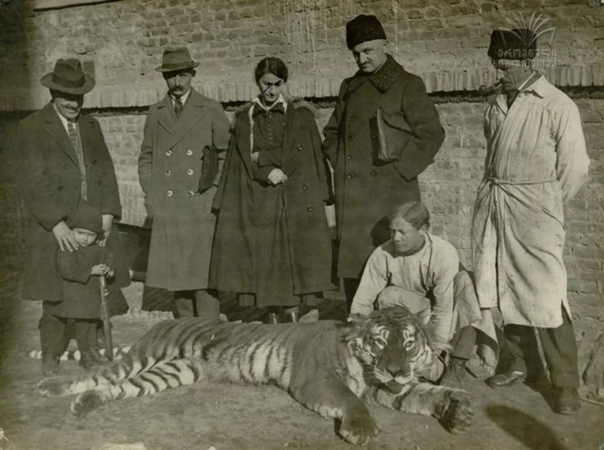 Tigre-do-Cáspio