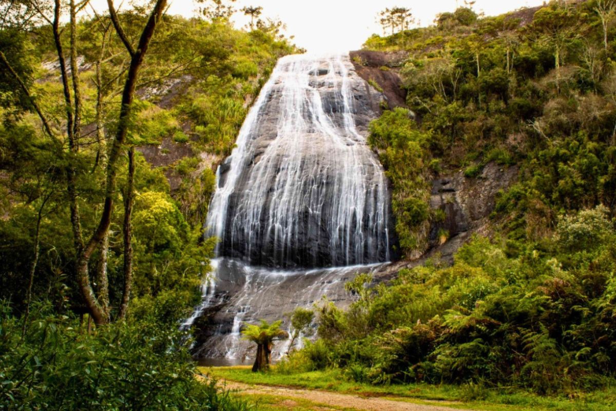 Foto da Cascata Véu de Noiva. A queda d'água volumosa desce por um paredão rochoso cercado por muita vegetação.