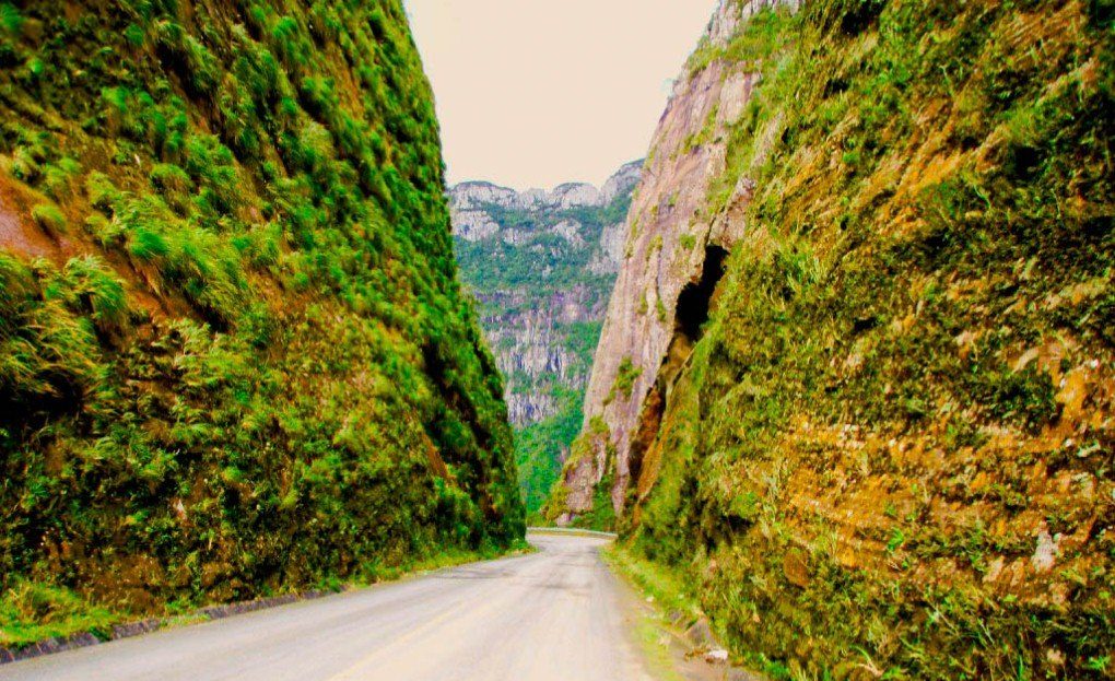 Foto de uma estrada passando no meio de dois grandes paredões rochosos com vegetação.