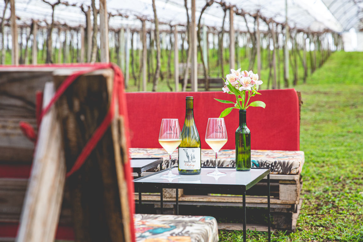 O wine bar Giardino Viel funciona debaixo das parreiras - PMC/Divulgação