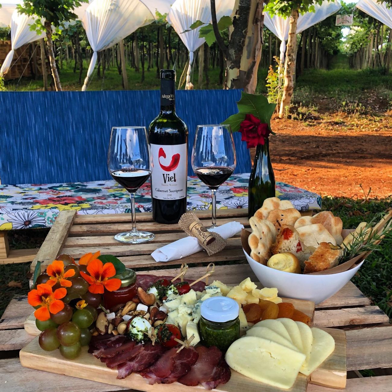 O bar serve quitutes da gastronomia italiana para harmonizar com os vinhos da casa - Giardino Viel/Redes Sociais