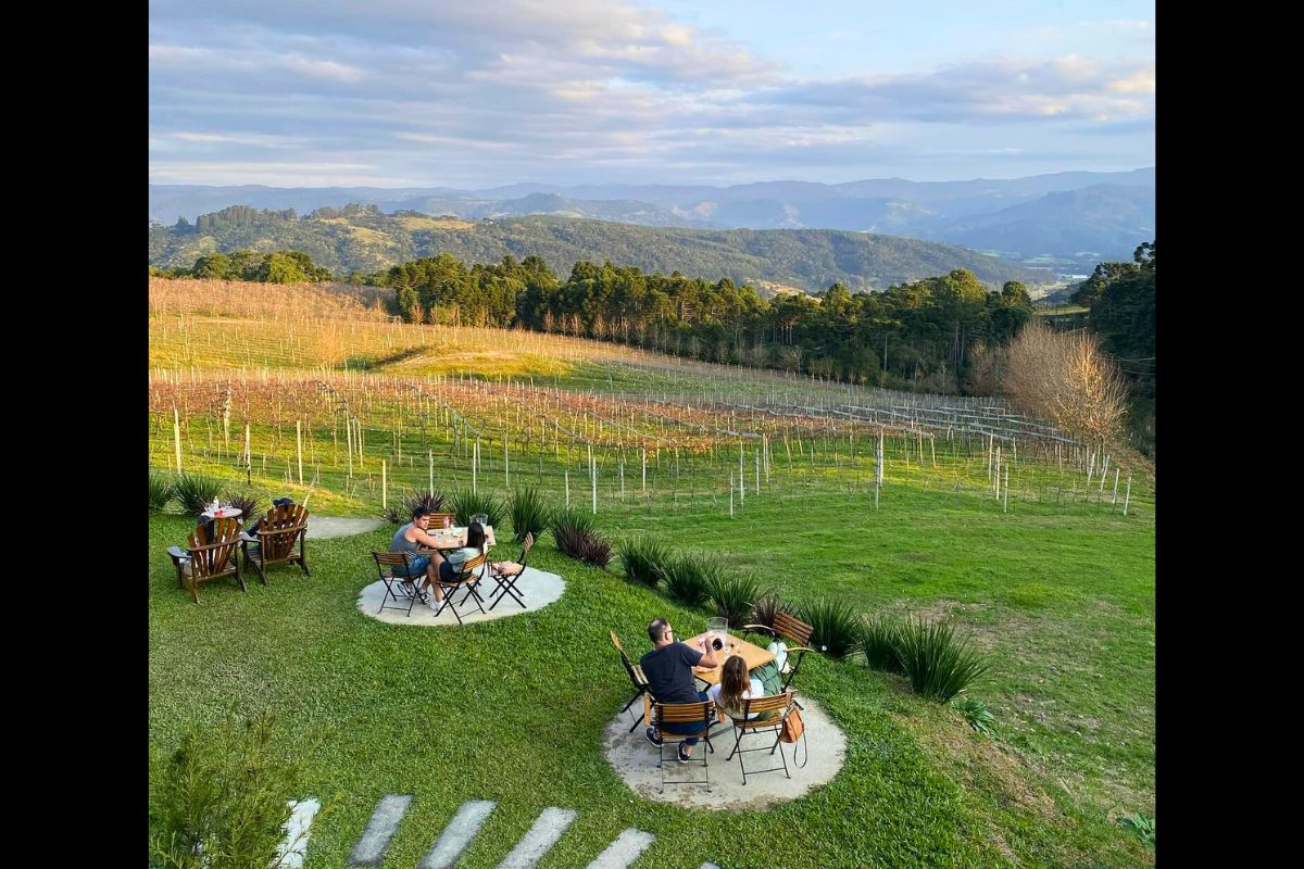 É possível comer do lado de fora com vista privilegiada - Vinícola Serra do Sol/Redes Sociais