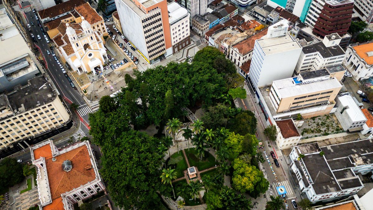 Mais de 12 toneladas de lixo de bares e restaurantes são usadas para adubar árvores no centro de Florianópolis - QTU Questões do Universo