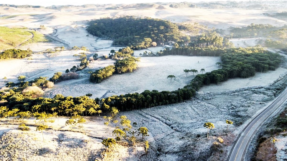 Campos do Vale de Caminhos da Neve em SC- Foto: Divulgação/Wagner Urbano - Divulgação/Wagner Urbano