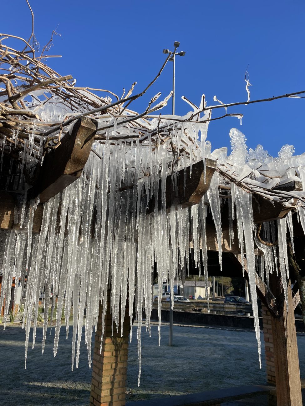 Detalhe da água congelada no pergolado de madeira da praça - PMU/Divulgação