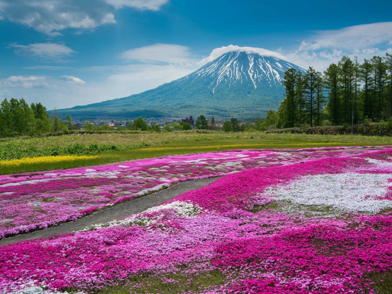 Hokkaido, no Japão