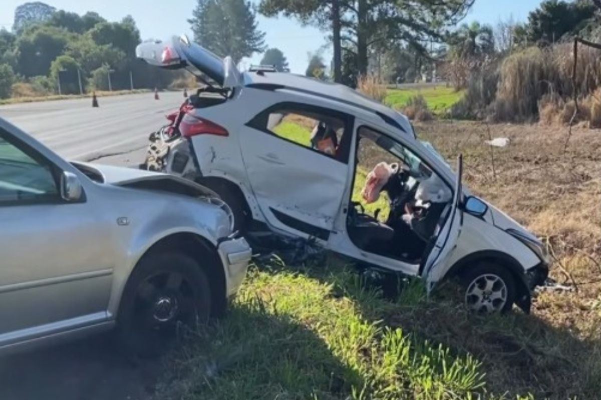 Mensagem em Árvore Chama Atenção em Local de Acidente Com Duas Mortes Na Br-470 Em SC