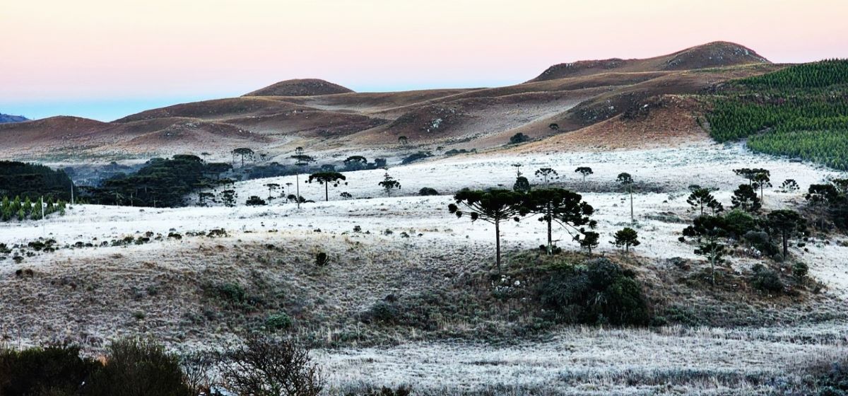 Frio extremo pinta a Serra de branco com geada de até −5 °C 1 Municipio da Serra de Santa Catarina registrou -4,1°C - Foto: Wagner Urbano - Municipio da Serra de Santa Catarina registrou -4,1°C
