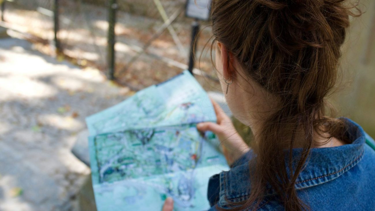 Pessoa observando um mapa turístico em local arborizado, representando a atuação do guia turístico local em roteiros de Santa Catarina.