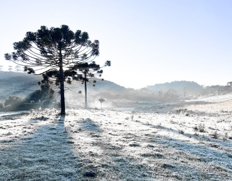 Neve em São Joaquim (SC) em 2025 - Acervo Prefeitura de Urupema