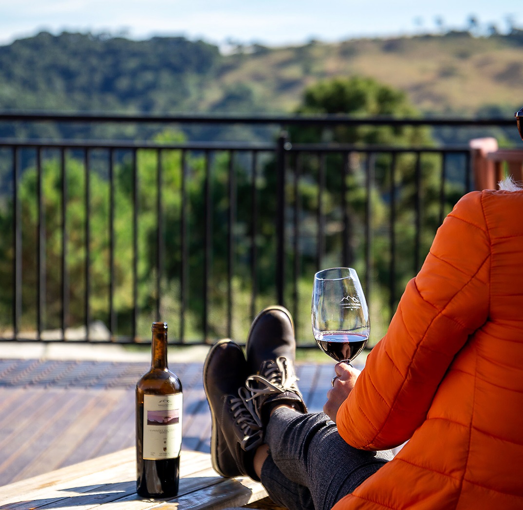 Foto de uma mulher de costas para a foto e cujo rosto não aparece. Ela usa um casaco vermelho, está em um deck de madeira com as pernas apoiadas em uma mesinha de madeira, com uma garrafa de vinho ao lado. Ela segura uma taça com vinho. À frente dela, uma paisagem de árvores e morros verdes, desfocada. 