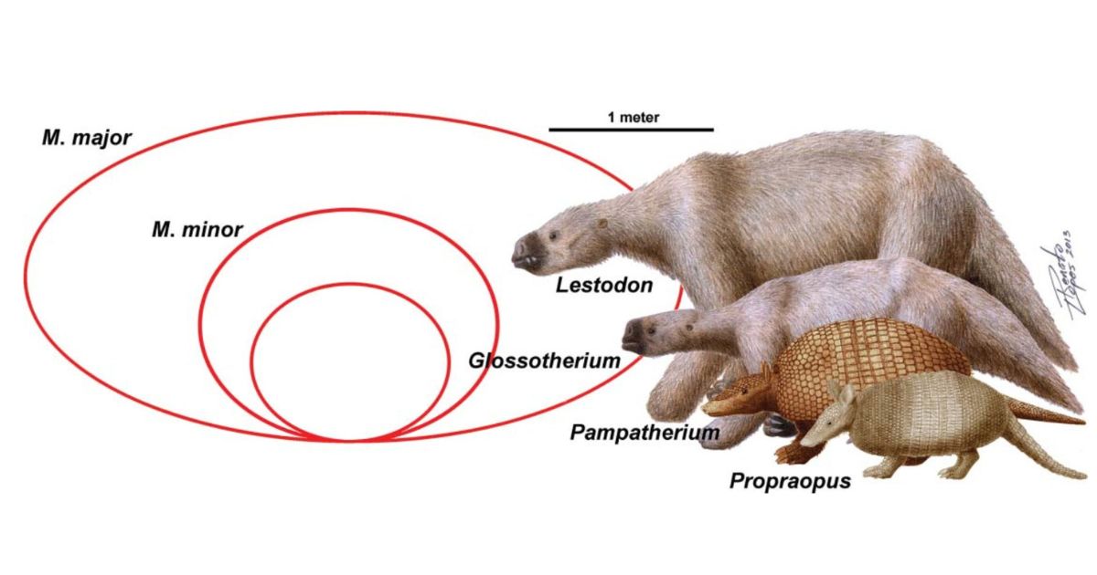 Imagem de um infográfico, comparando o tamanho dos animais na pré-história, com os de agora, para ilustrar para os leitores como de fato eles eram antigamente 