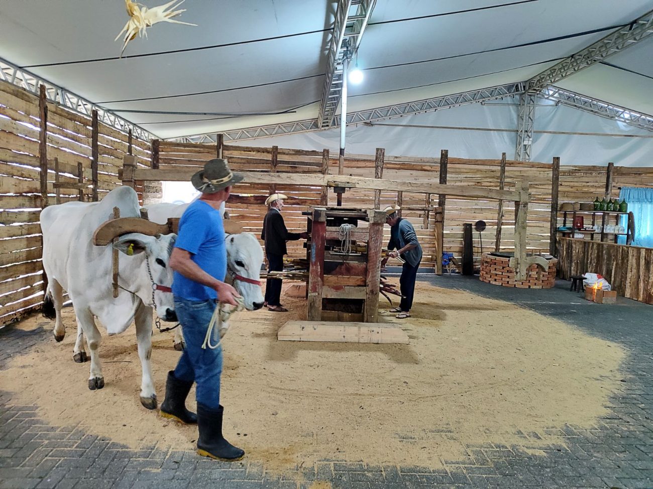 Exposição agropecuária, que neste ano deve apresentar cerca de 200 animais, incluindo bovinos, equinos, bubalinos, pequenos animais - Divulgação/ND.
