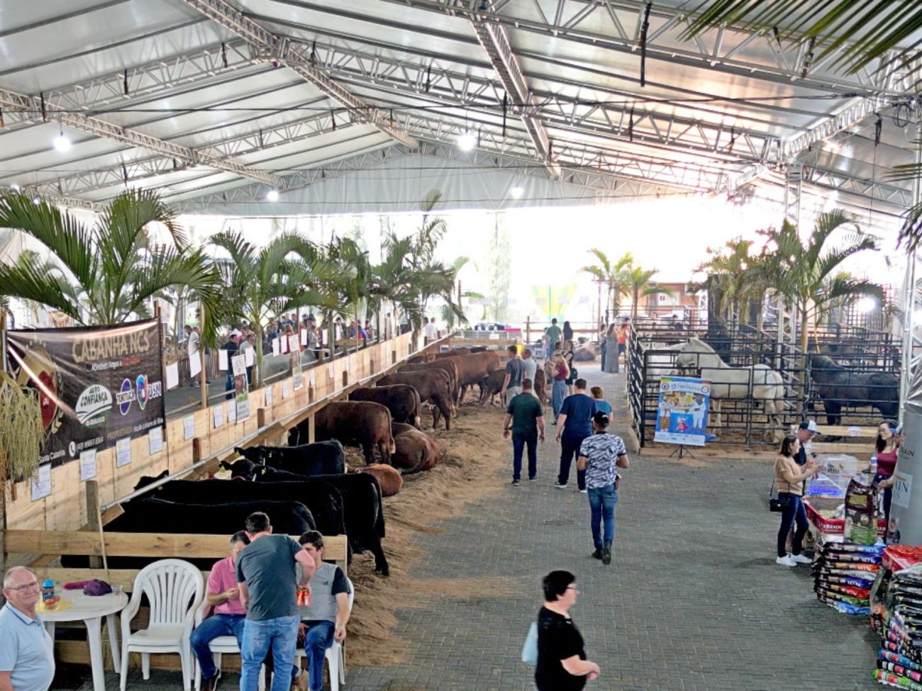 Festa acontece entre os dias 15 e 17 de agosto - Divulgação/ND.