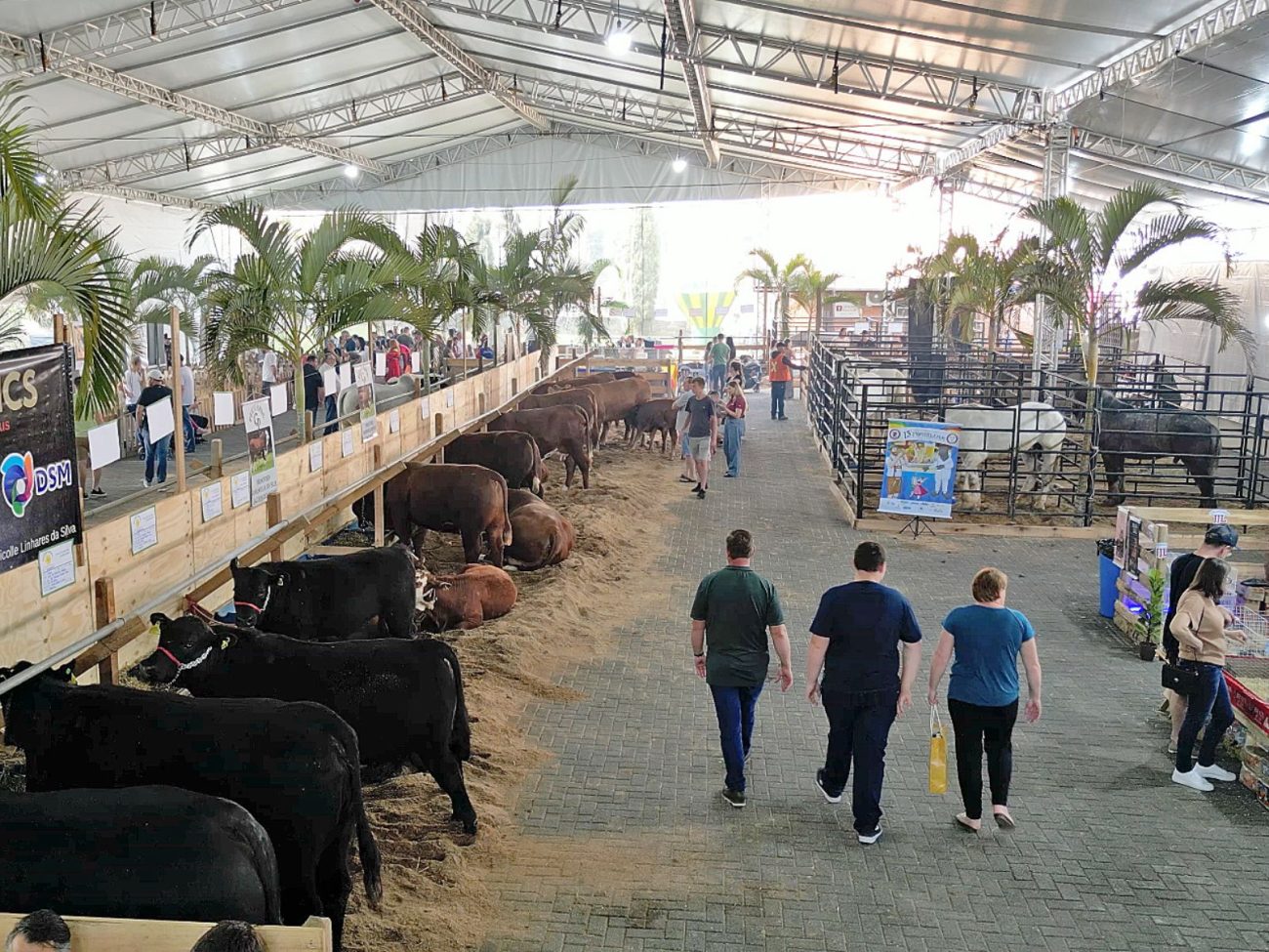 Exposição agropecuária - Divulgação/ND.