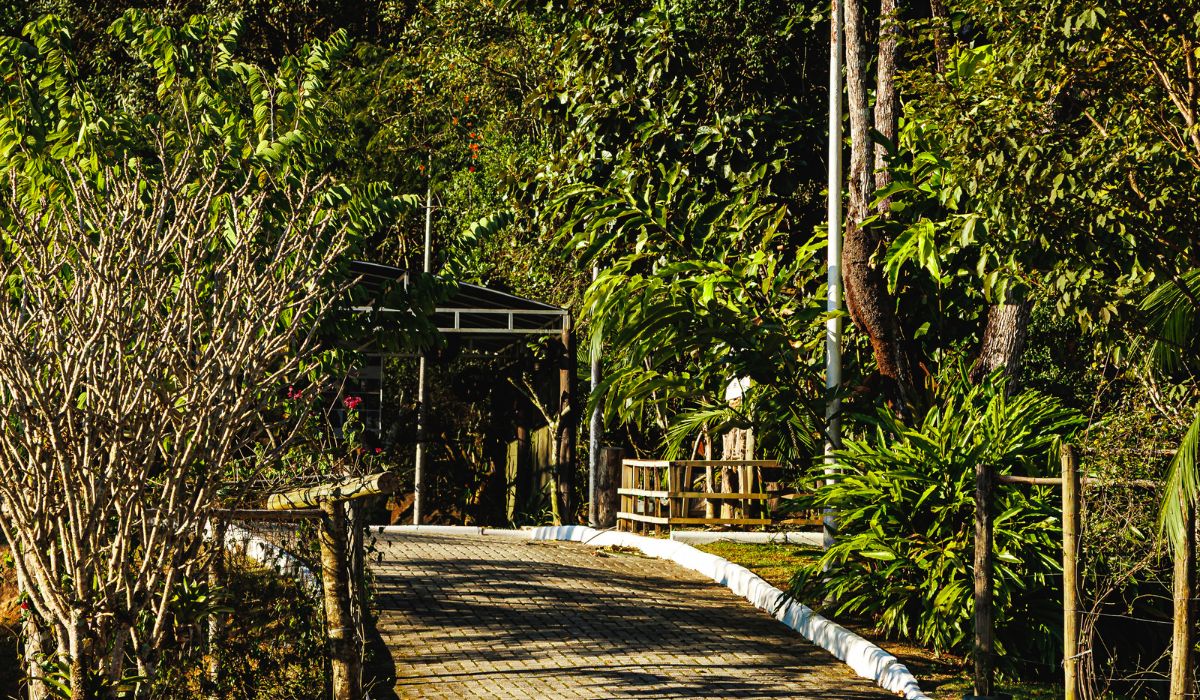 Jardim Botânico de São José é um dos 50 em funcionamento no Brasil - Reprodução/Mariana Smania/PMSJ/ND
