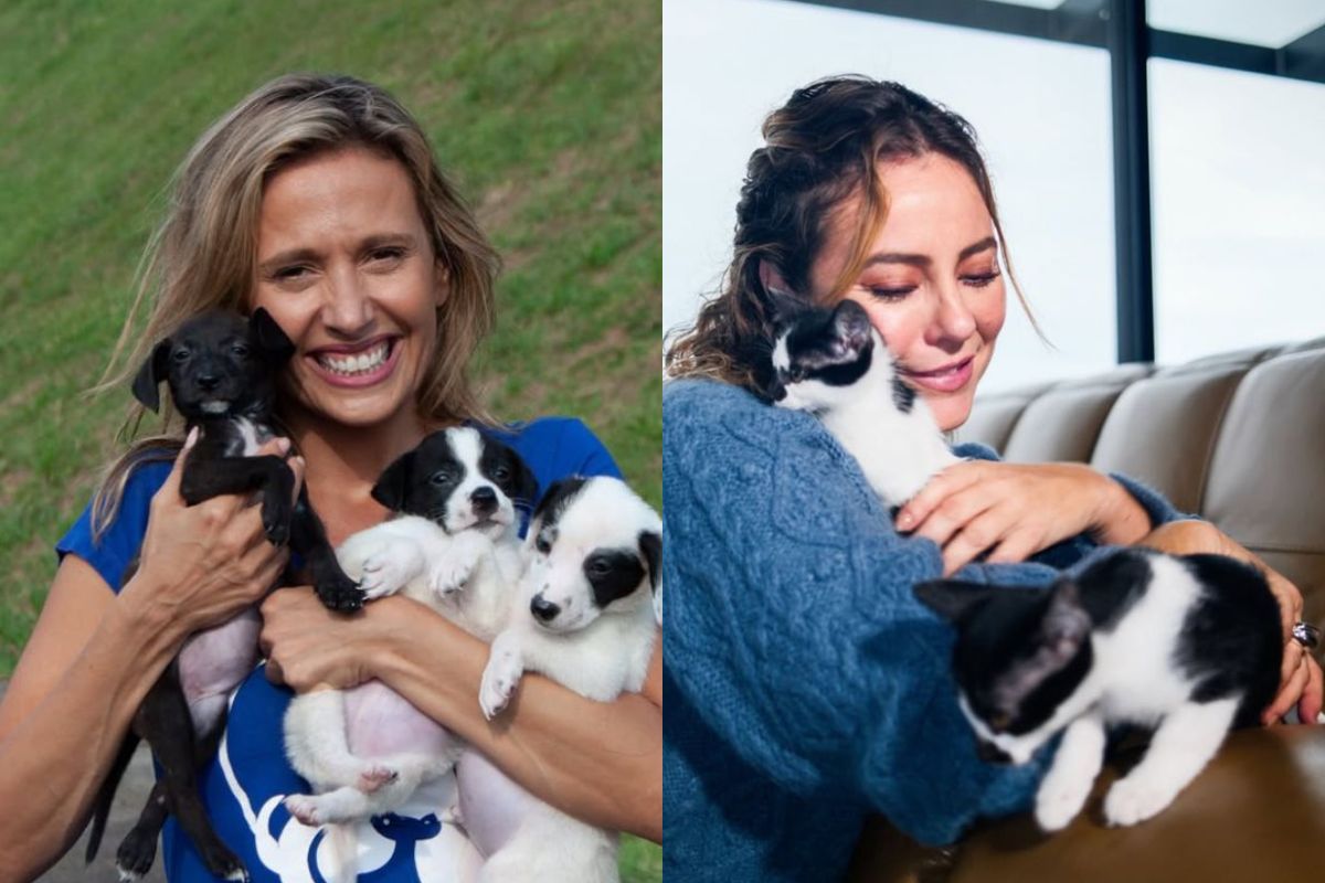 Luisa Mell e Paolla Oliveira cobram justiça pelo cavalo mutilado em Bananal