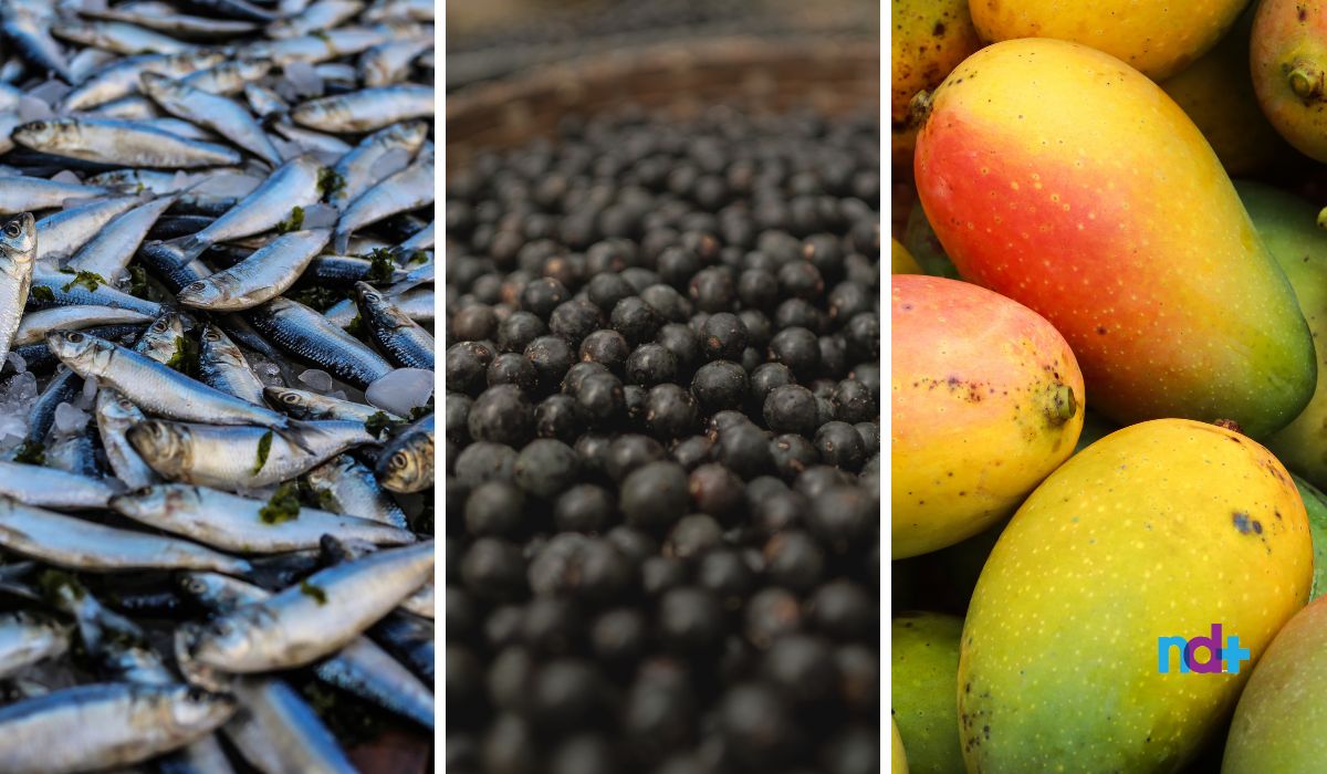 Produtos afetados pelo tarifaço: Peixes, açaí e manga - Foto: ND Mais