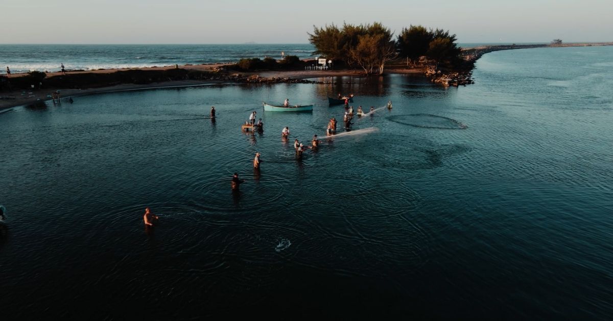 Imagem de pessoas pescando com botos, para mostrar como de fato é a pesca auxiliada por esses animais 