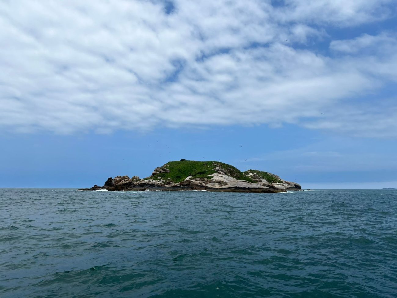 Parte Sul da ilha é recomendada para mergulhos. - Louise Stefany/Sectur Bombinhas/ND