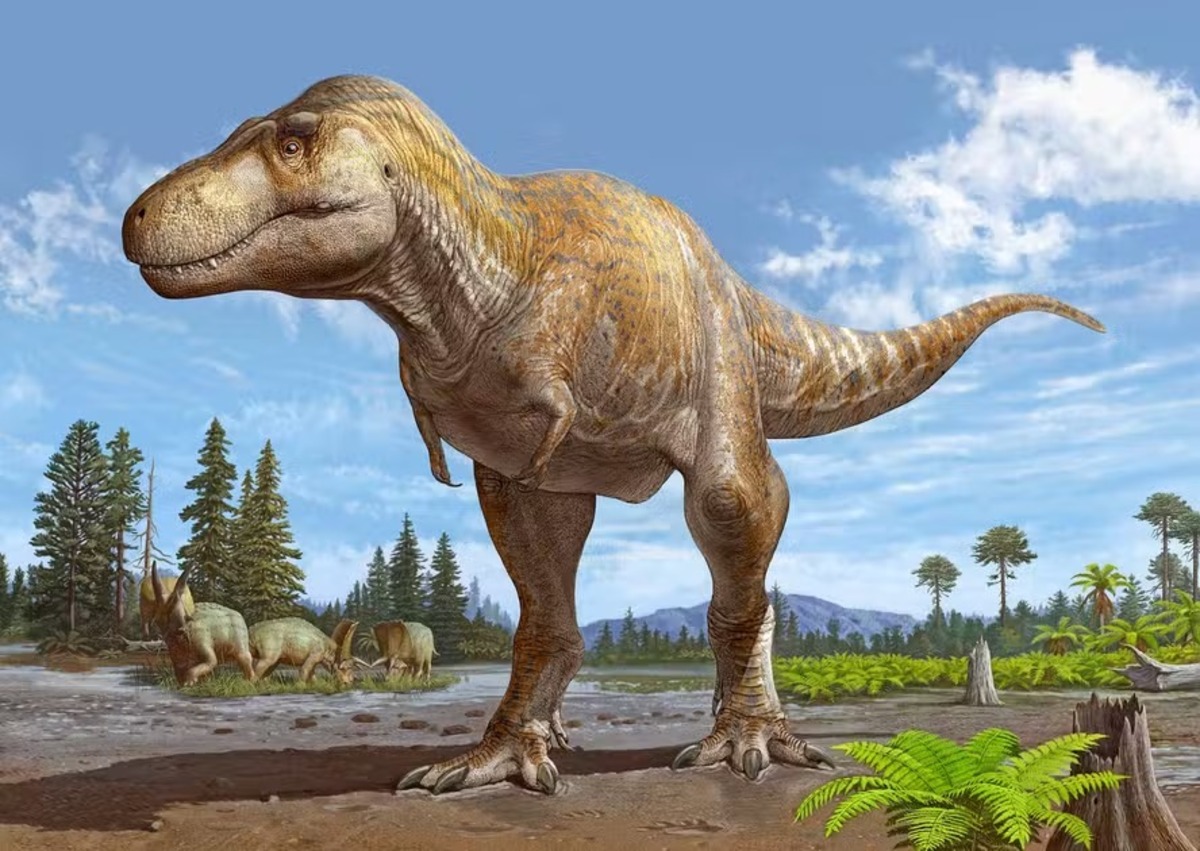 T-Rex
